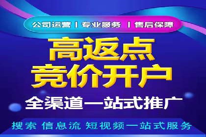 百度推广运营实战：从入门到精通